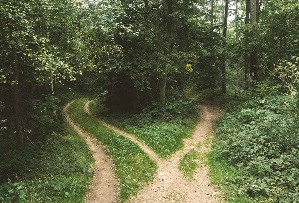 En stig som delar sig i två delar.